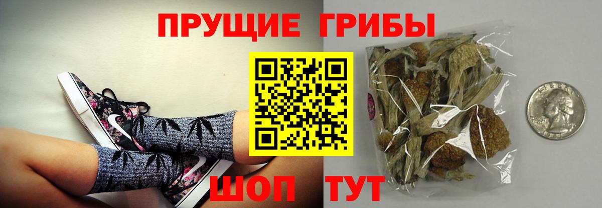где купить наркоту  Вход с VPN  Псилоцибиновые грибы Cubensis  Междуреченск  Галлюциногенные грибы мицелий 